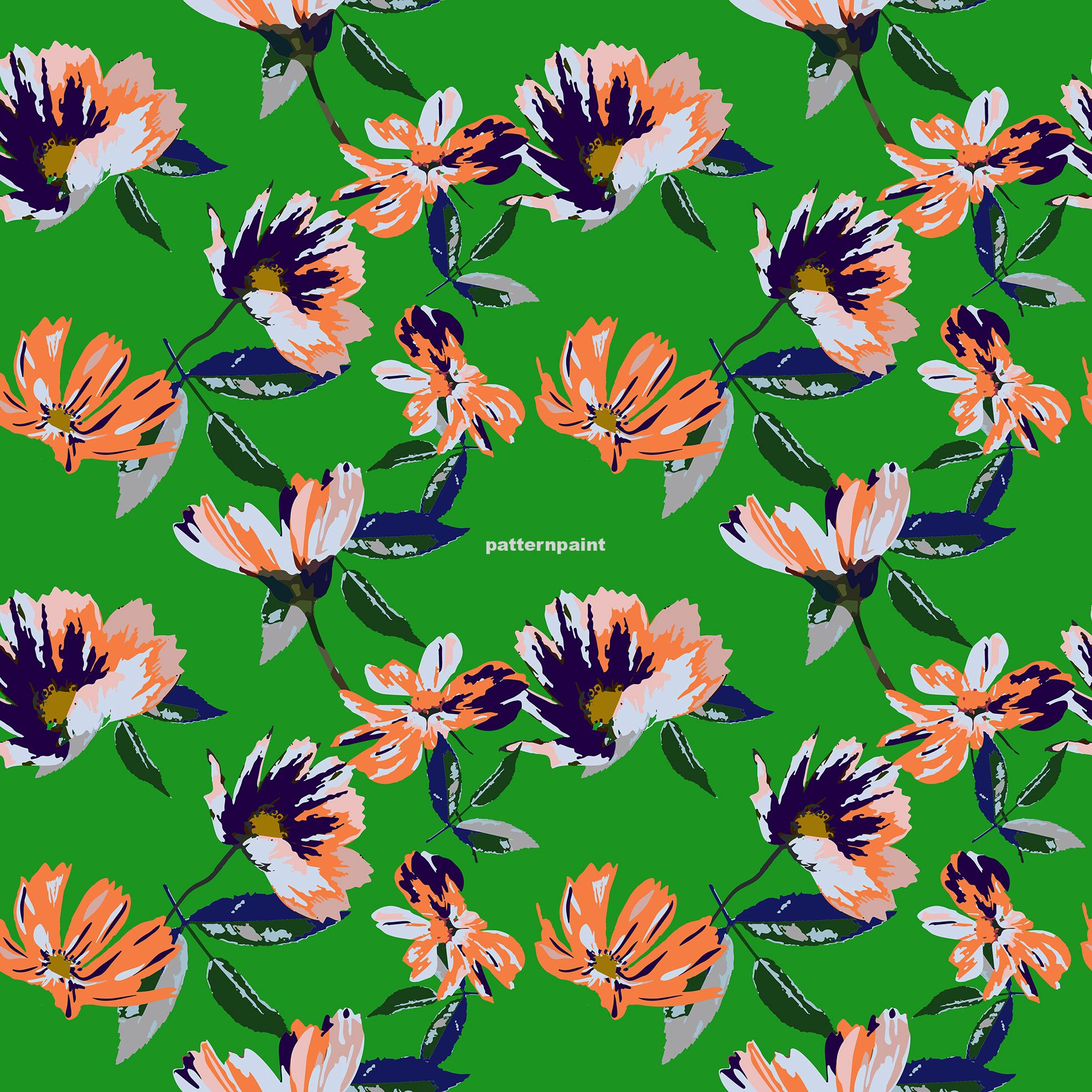 100113 ektan goruntusu